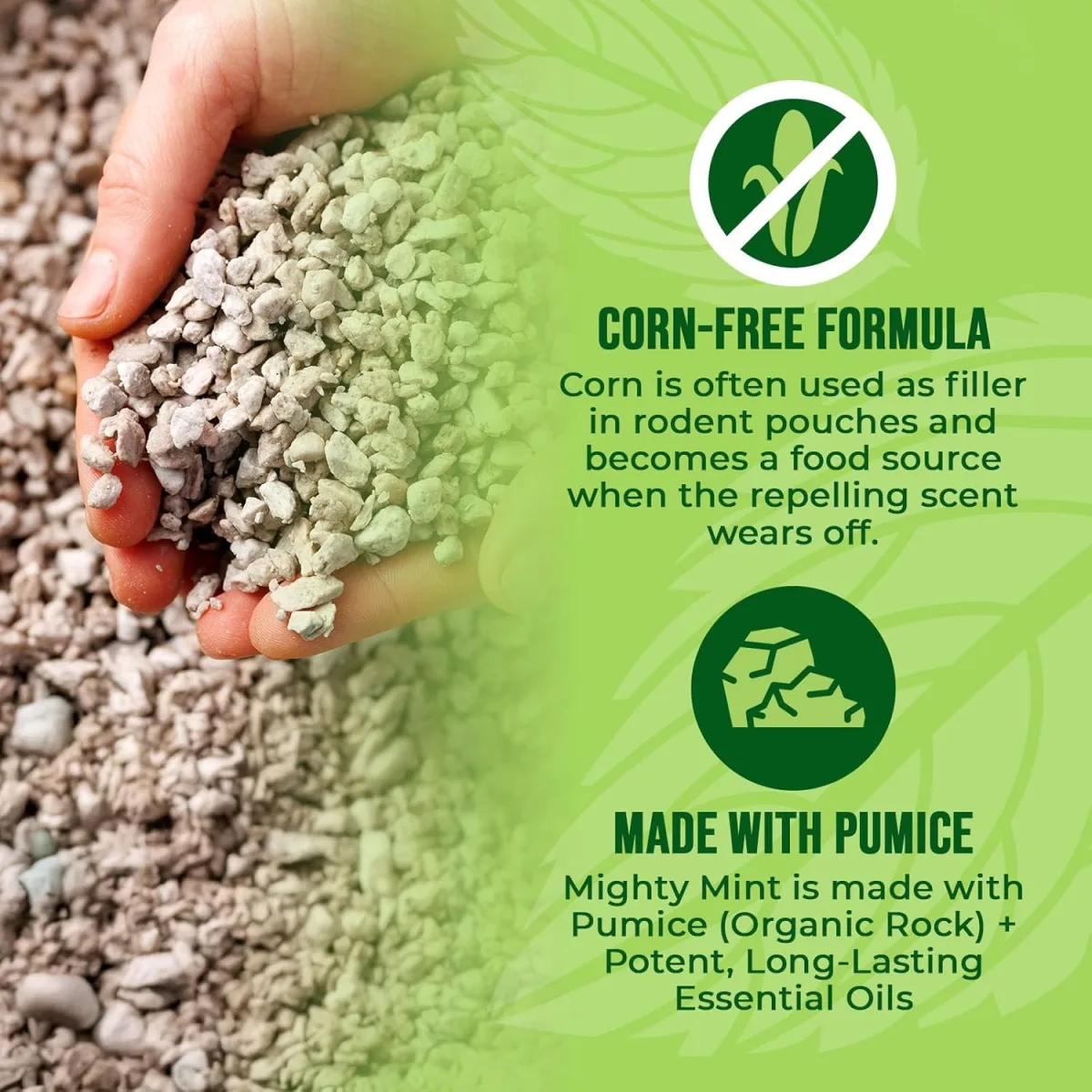 Mighty Mint Mouse Repellent Pouches: A 3-Week Reality Check