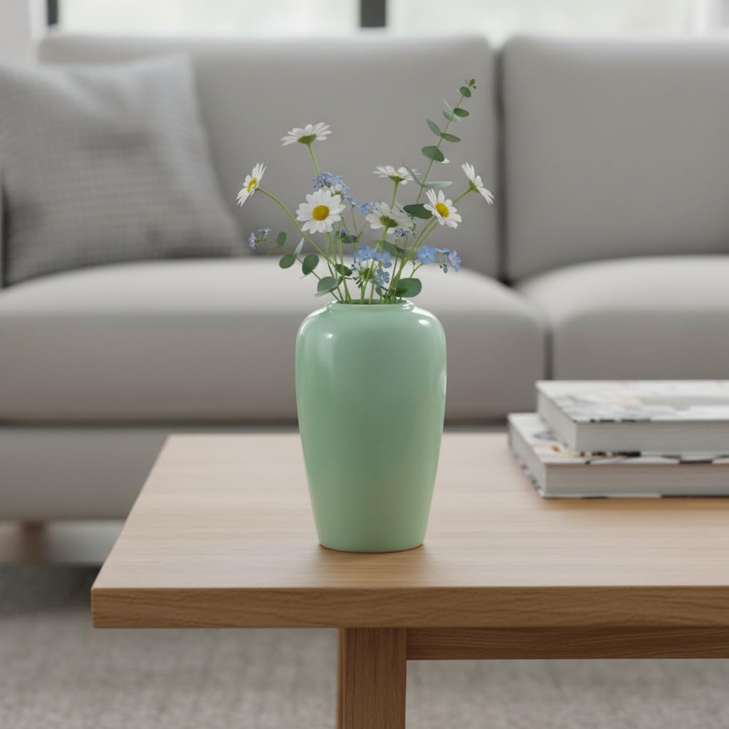 Wancetang Ceramic Bowl Review: Modern Style, Minor Flaws