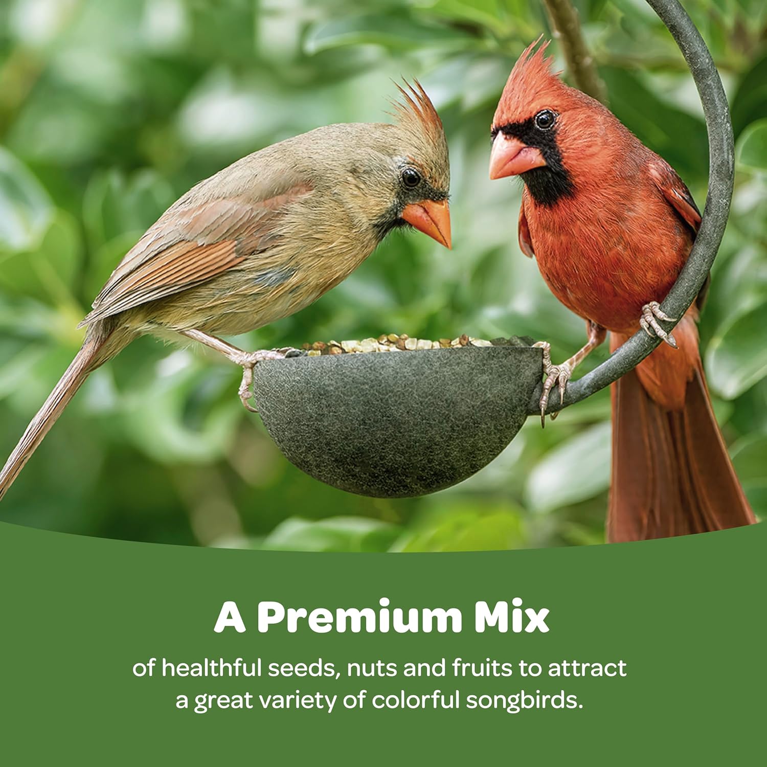 Kaytee Ultimate No Mess Bird Food: Is It Worth the Higher Price?